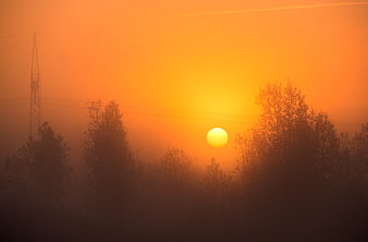 Foggy Orange Sunrise Over Silhouetted Trees and Power Lines