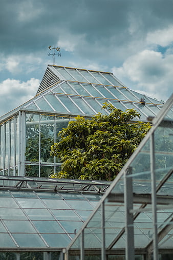 Glass greenhouse structure with lush plants and cloudy sky