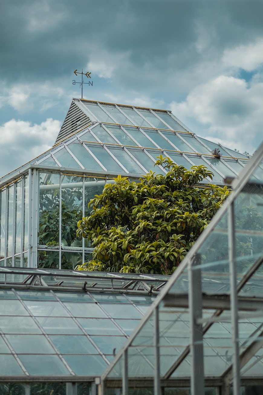 Glass greenhouse structure with lush plants and cloudy sky