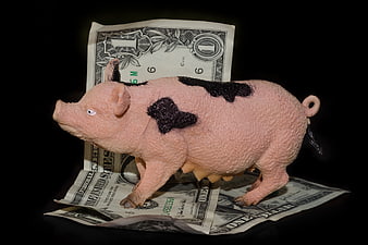 Plastic pig figurine standing on US dollar bills