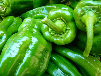 Close-up of fresh green bell peppers with glossy skin