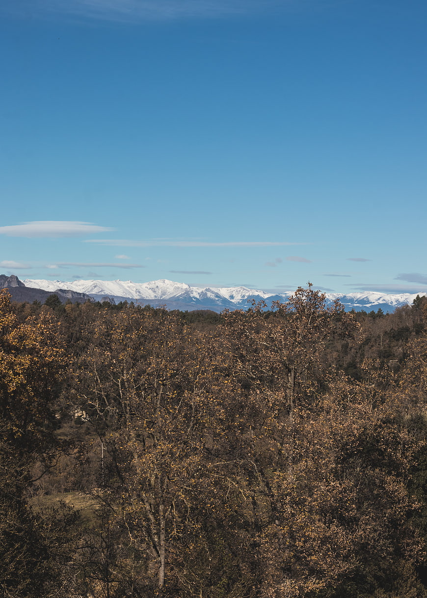 Autumn forest landscape with distant snow-capped mountains