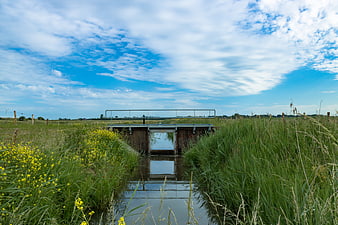 Small wooden bridge over canal in green meadow with yellow flowers
