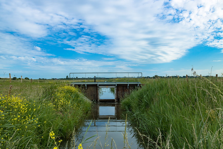 Small wooden bridge over canal in green meadow with yellow flowers