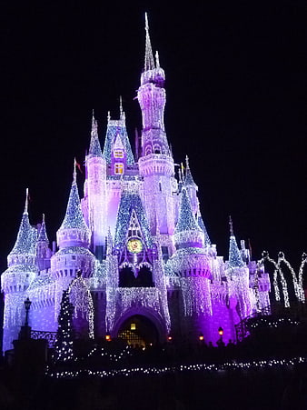 Illuminated Cinderella Castle at Magic Kingdom at Night