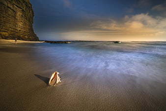 Seashell on Beach with Long Exposure Ocean Waves and Dramatic Sky