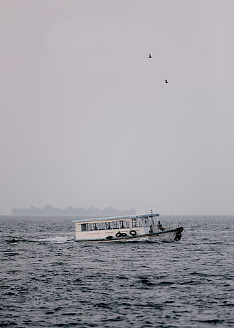 White boat sailing on calm sea with birds in sky