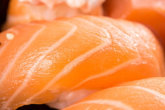 Close-up of fresh salmon nigiri sushi with visible texture