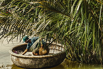 Man in traditional basket boat under palm leaves