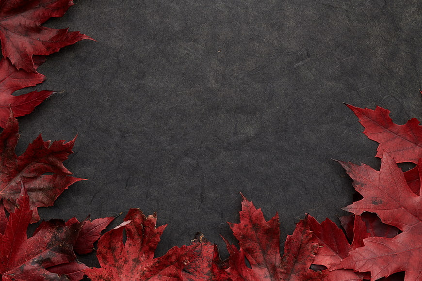 Red maple leaves on dark textured background with copyspace