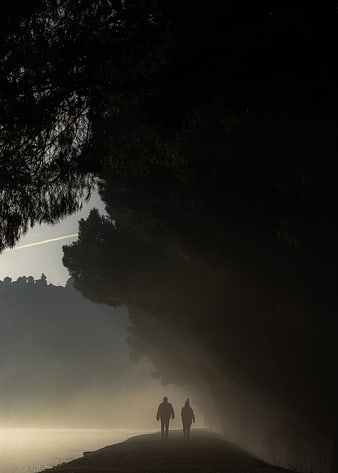 Silhouettes of couple walking on misty path by lake