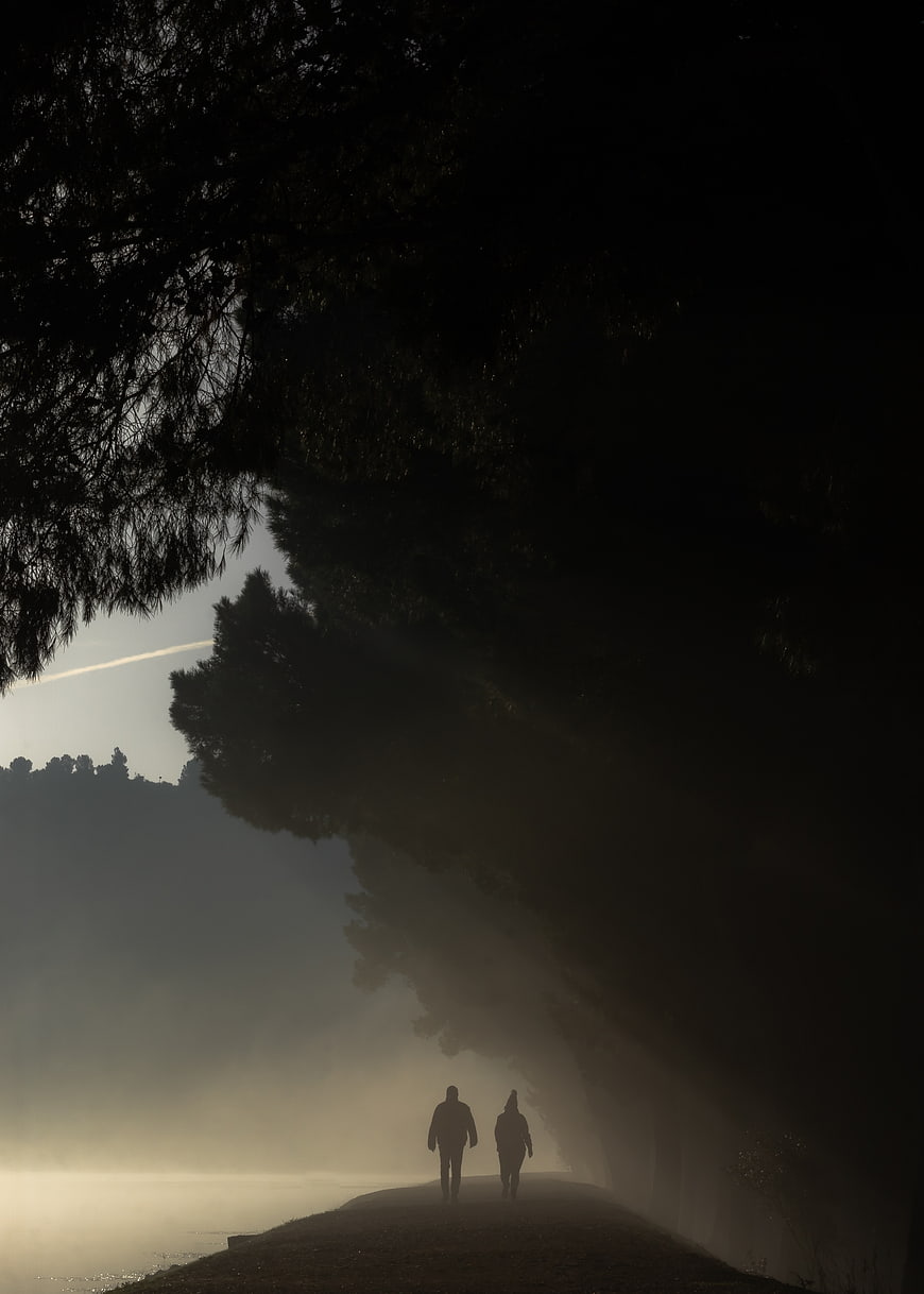 Silhouettes of couple walking on misty path by lake