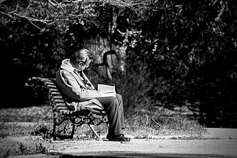 Senior man reading a book on a park bench in black and white