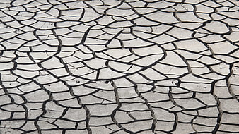 Cracked dry earth texture pattern background
