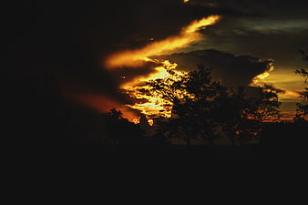 Dramatic sunset with golden clouds and silhouetted trees