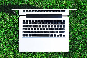 White Laptop on Green Grass Overhead View