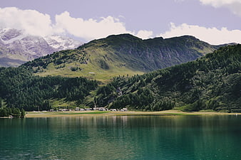 Serene Alpine Lake with Snow-Capped Mountains and Green Forests