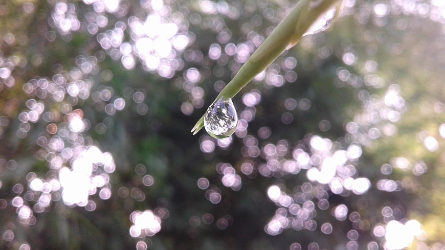 Macro shot of water droplet on green leaf with bokeh background