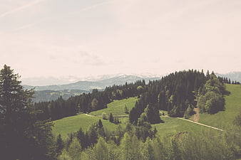 Serene Green Mountain Landscape with Forest and Distant Peaks