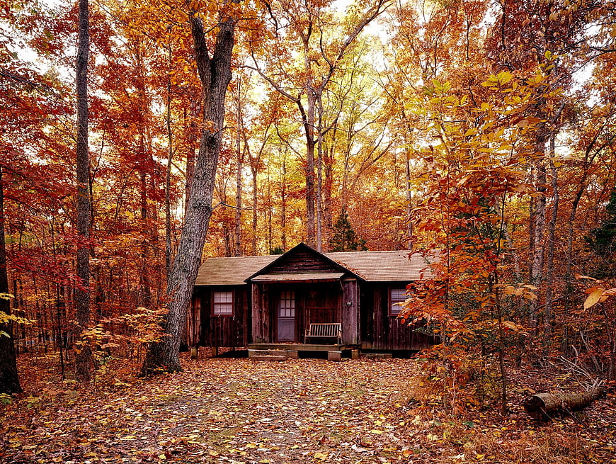 Rustic wooden cabin in autumn forest with orange leaves