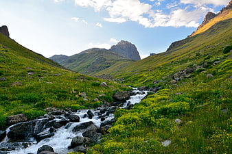 Mountain Stream Flowing Through Green Valley With Blue Sky