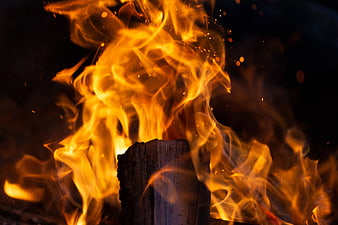 Close-up of burning wood log with bright orange flames and sparks