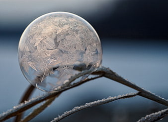Macro photography of a frozen water droplet with ice crystals on a twig
