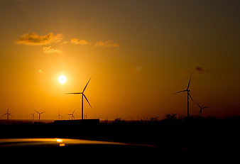 Wind Turbines Silhouetted Against Golden Sunset Sky
