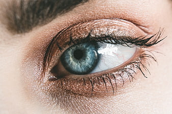 Close-up of blue eye with shimmering bronze makeup
