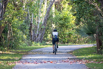 Cyclist Riding Away on Forest Path