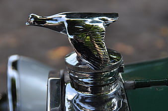 Close-up of vintage car chrome bird hood ornament