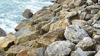 Small birds perched on large coastal rocks near ocean waves