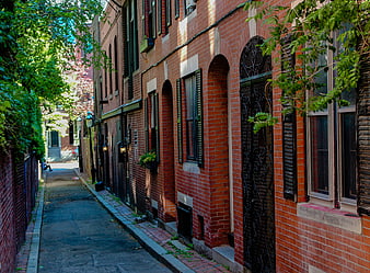 Narrow brick alleyway with historic architecture and greenery