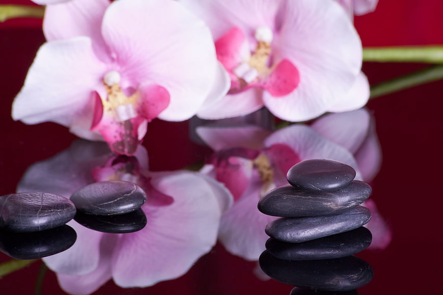 Pink Orchids And Stacked Black Stones On Reflective Red Surface