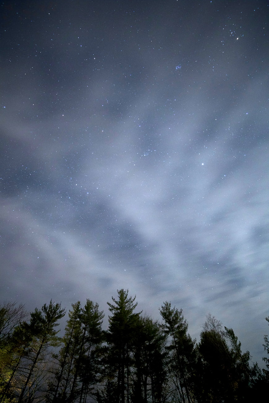 Starry Night Sky Over Silhouetted Pine Trees