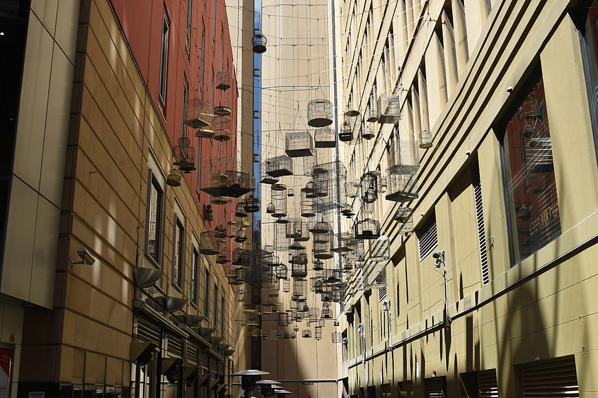 Urban alleyway with hanging wire birdcage art installation