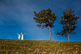 Joyful couple celebrating on a grassy hill with pine trees