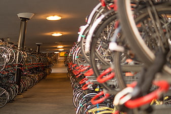 Rows of bicycles in indoor parking garage