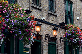 Colorful hanging flower baskets on historic brick pub facade