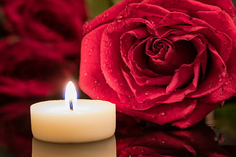 Red Rose with Water Drops and Tea Light Candle