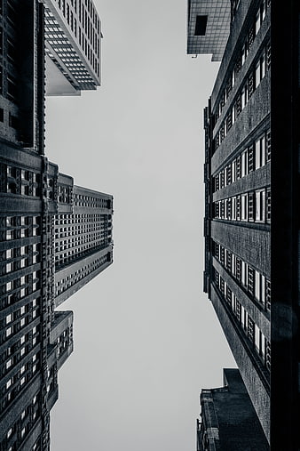 Black and white low angle view of skyscrapers