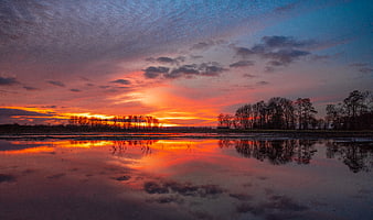 Vibrant sunset reflection on calm lake with silhouetted trees