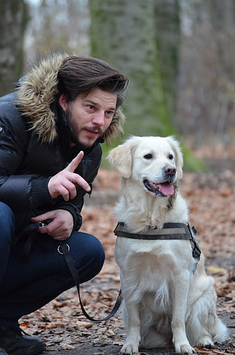 Man Training Golden Retriever in Autumn Forest