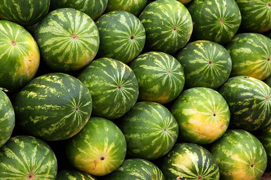 Fresh Green Watermelons Piled Together for Summer Harvest