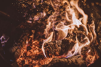 Close-up of burning firewood with glowing embers and sparks