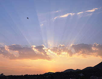 Sunset with sun rays and bird silhouette over mountains