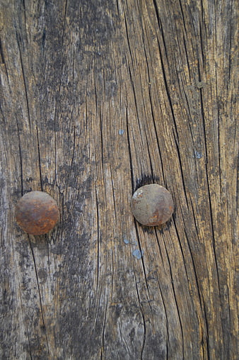 Rusty Nails on Weathered Wood Texture Background