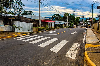 Empty asphalt road with crosswalk in tropical town