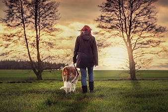 Woman Walking Dog in Field at Sunset