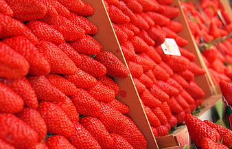 Fresh Red Strawberries in Cardboard Boxes at Market